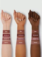 رنگبندی رژ لب بادوام داینامات امبر رز شیگلم SHEGLAM EMBER ROSE